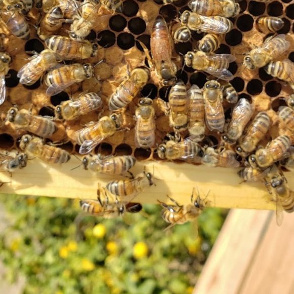 Meet your Posher, Zey - Picture 9 of 10